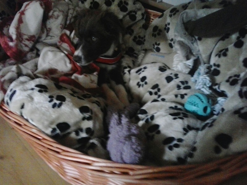 IMG-20161107-WA0004.jpg