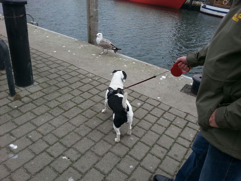 IMG-20161107-WA0026.jpg