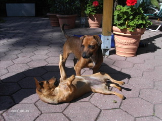 rüdi und mufi.jpg