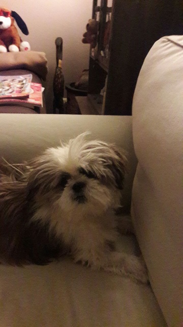 IMG-20161120-WA0003.jpg