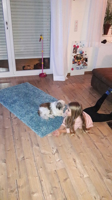 IMG-20161120-WA0006.jpg