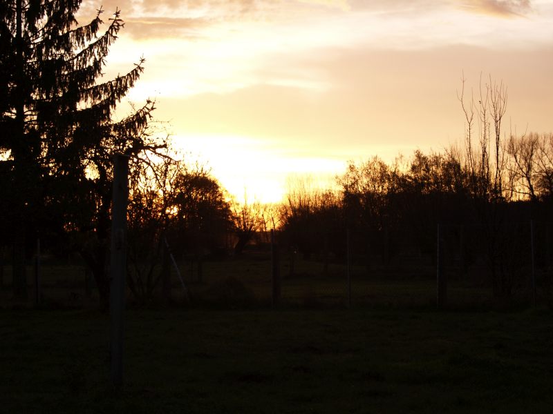 21.11. Sonnenaufgang.jpg