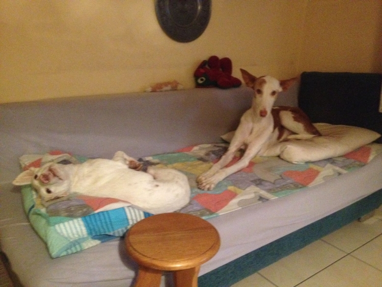 IMG-20161121-WA0010.jpg