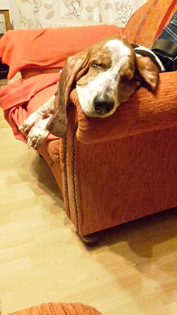 IMG-20161124-WA0002.jpg