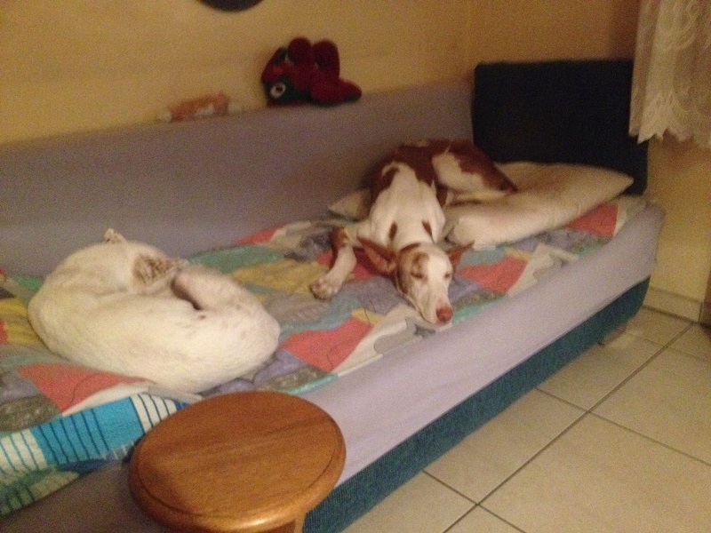 IMG-20161124-WA0007.jpg