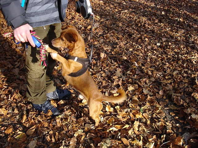DSC04664.jpg