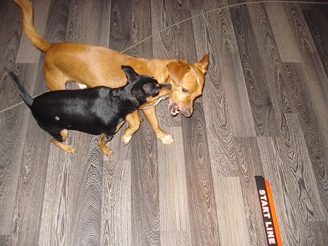 DSC04684.jpg