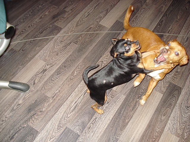 DSC04687.jpg