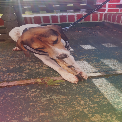 20161207_175931.png