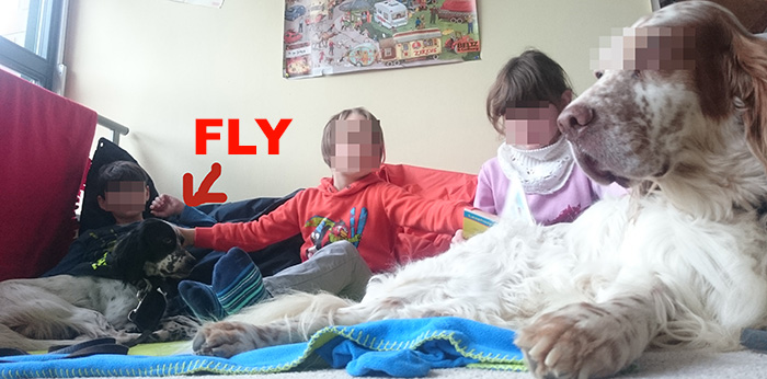 FLY_Winterzeit_5.jpg