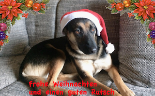 Bildschirmfoto 2016-12-24 um 13.12.57.png