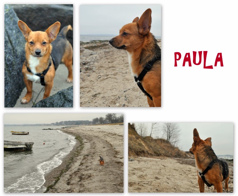 00120170205Paula.jpg