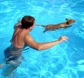 Dante im Pool.jpg