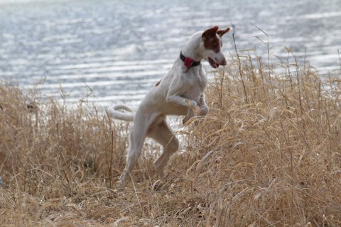 IMG_6847.JPG
