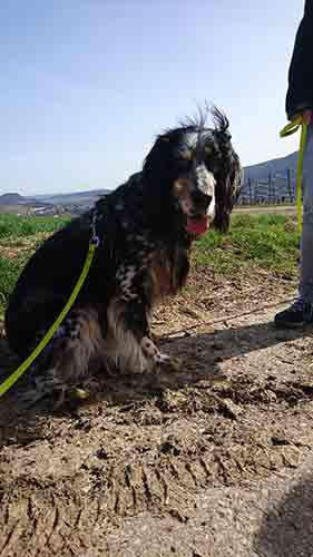 Bolle_120317_6.jpg