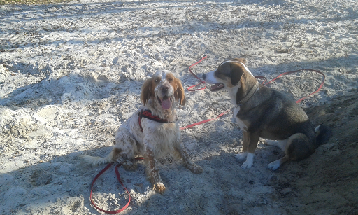 caspar und fiene.png