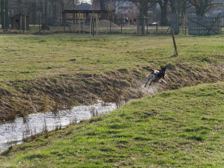 Grabensprint.jpg