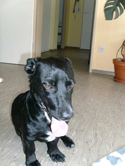 s_s_PICT0099.JPG
