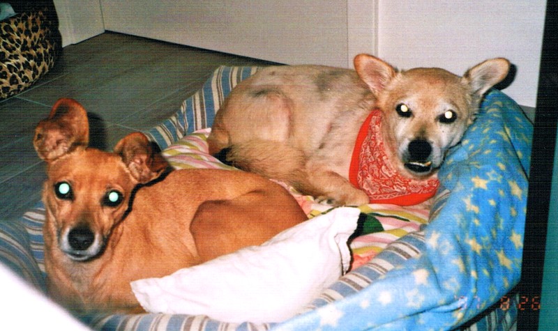 Bubu und Isolde.jpg