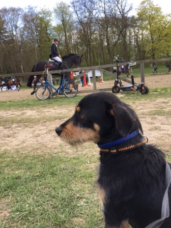 August mit Pferd.JPG
