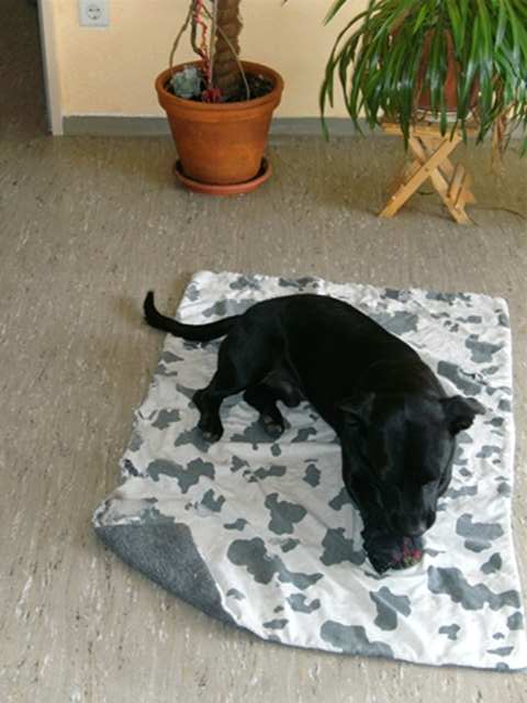 s_s_PICT0112.JPG