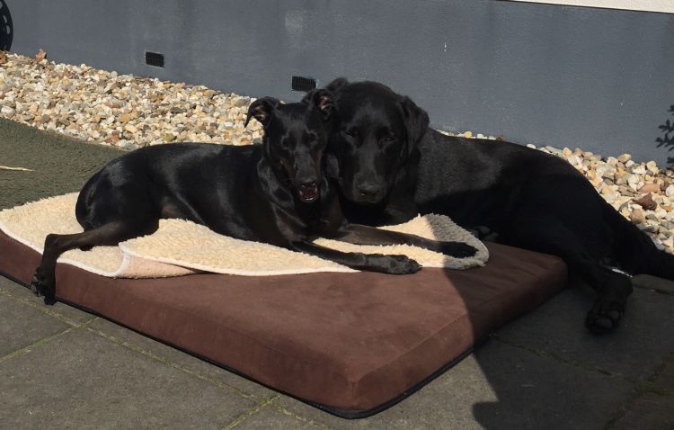 Peanut und Aneesa.jpg