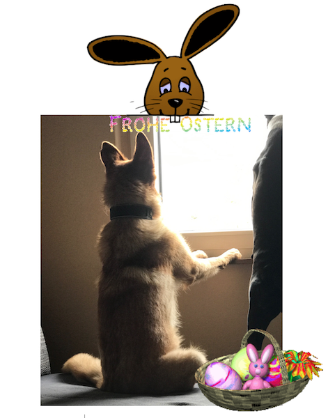Bildschirmfoto 2017-04-16 um 10.45.56.png