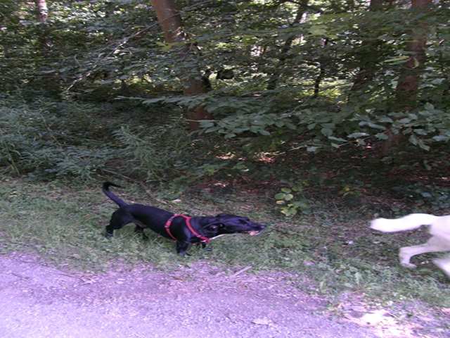 s_s_PICT0147.JPG