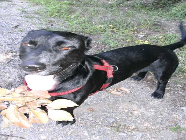 s_s_PICT0155.JPG