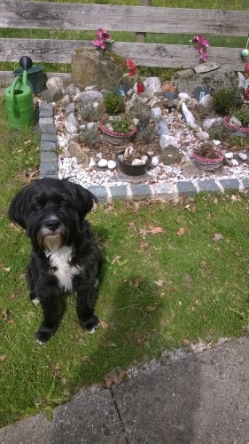 IMG-20170502-WA0014.jpg