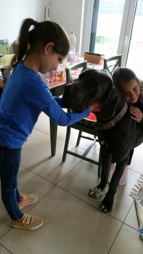 IMG-20170502-WA0012.jpg