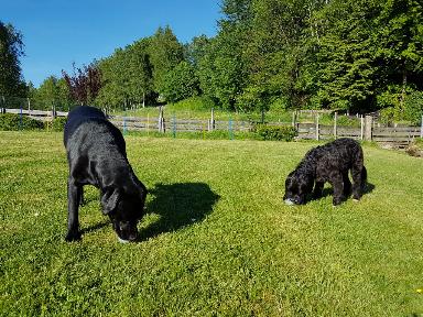 IMG-20170528-WA0011.jpg