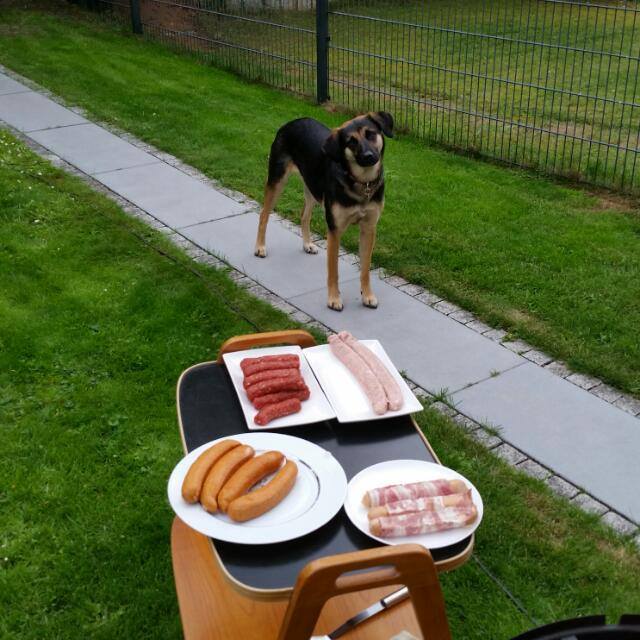 Etwa alles für mich.jpg
