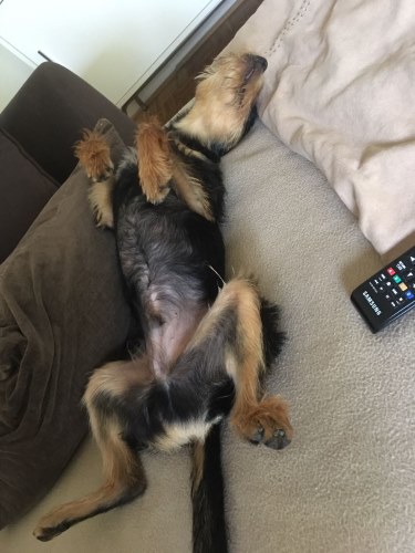 8c107144-e68c-4322-af22-bf46bcdf7dab.jpg
