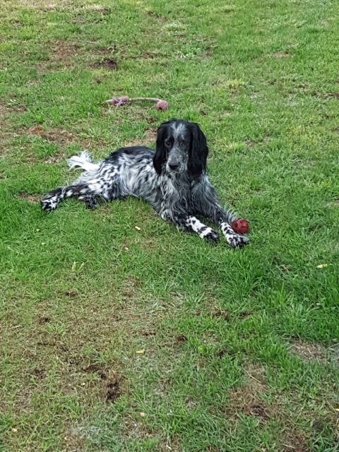 20170525_203611.jpg