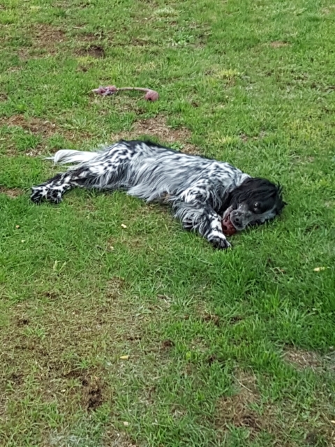 20170525_203617.jpg