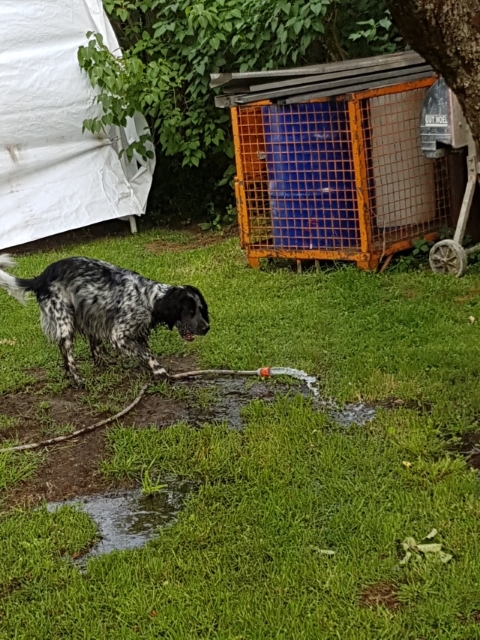 20170613_192341.jpg