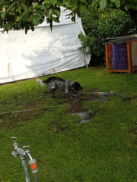 20170613_192405.jpg