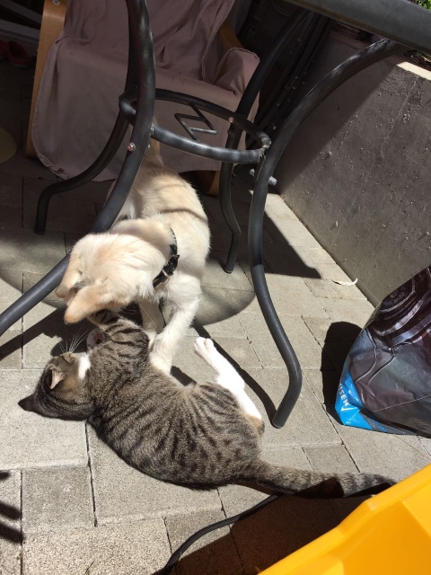 Best Friends!