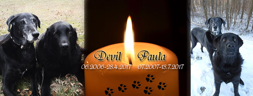 PAULA DEVIL.jpg