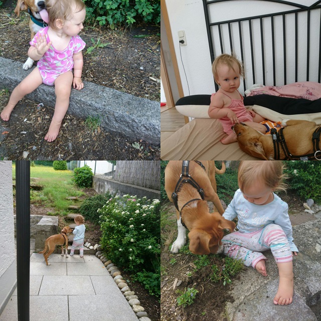 20170725_104312Co.jpg