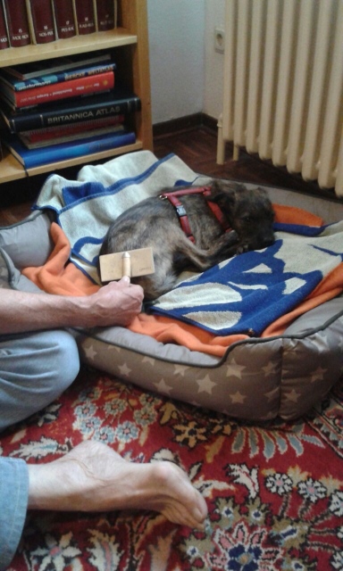IMG-20170726-  WA0001.jpg