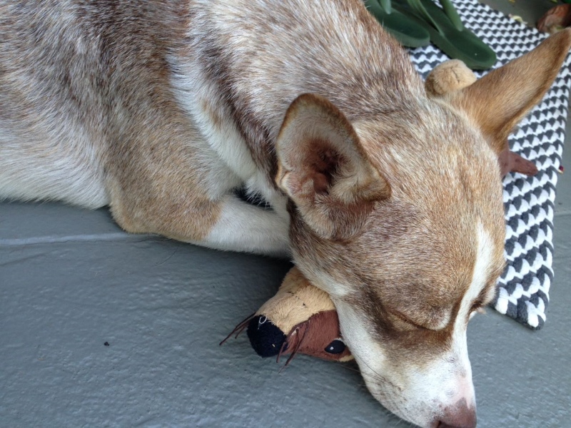 IMG-20170727-WA0008.jpg