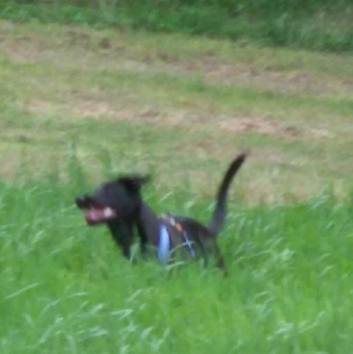 IMG-20170730-WA0001.jpg