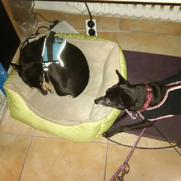 IMG-20170801-WA0046.jpg