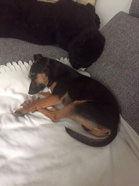 001IMG-20170801-WA0007.jpg