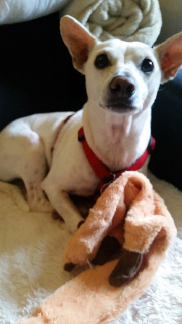 hellwach in Niederbayern :)