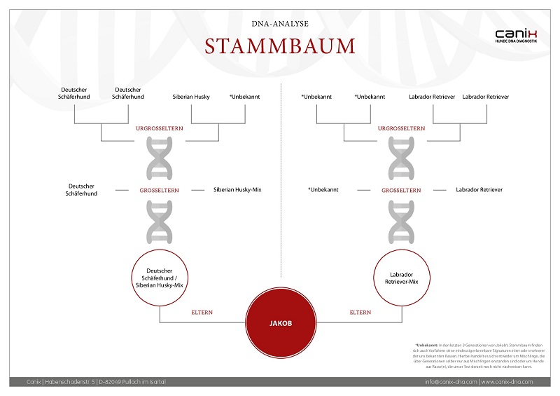 Stammbaum (1)-001.jpg