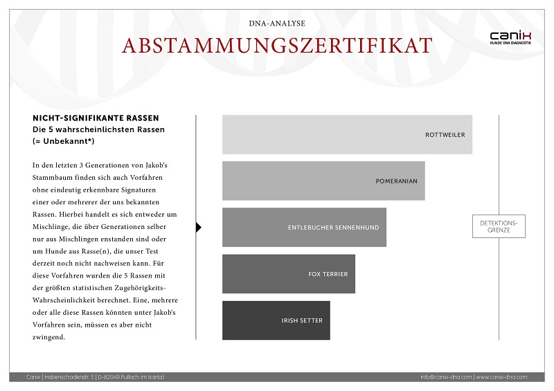 Stammbaum (1)-003.jpg