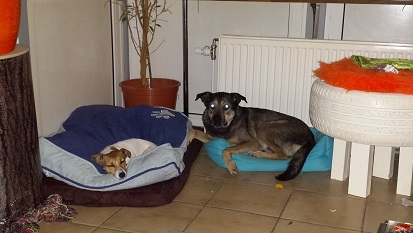 20170124_184924.jpg